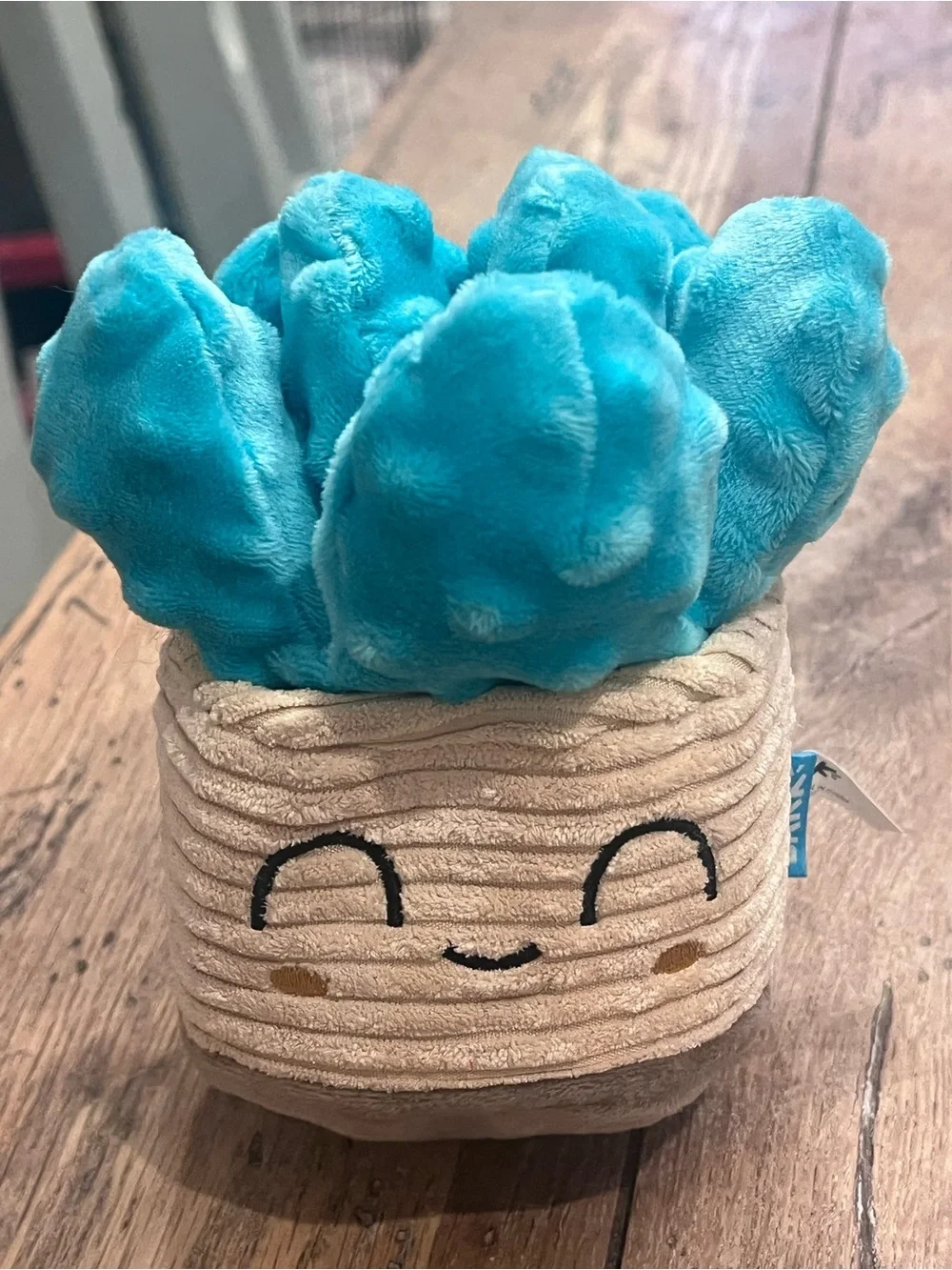 Bark Plush Succulent Toy - Turquoise & Beige Smiling Planter